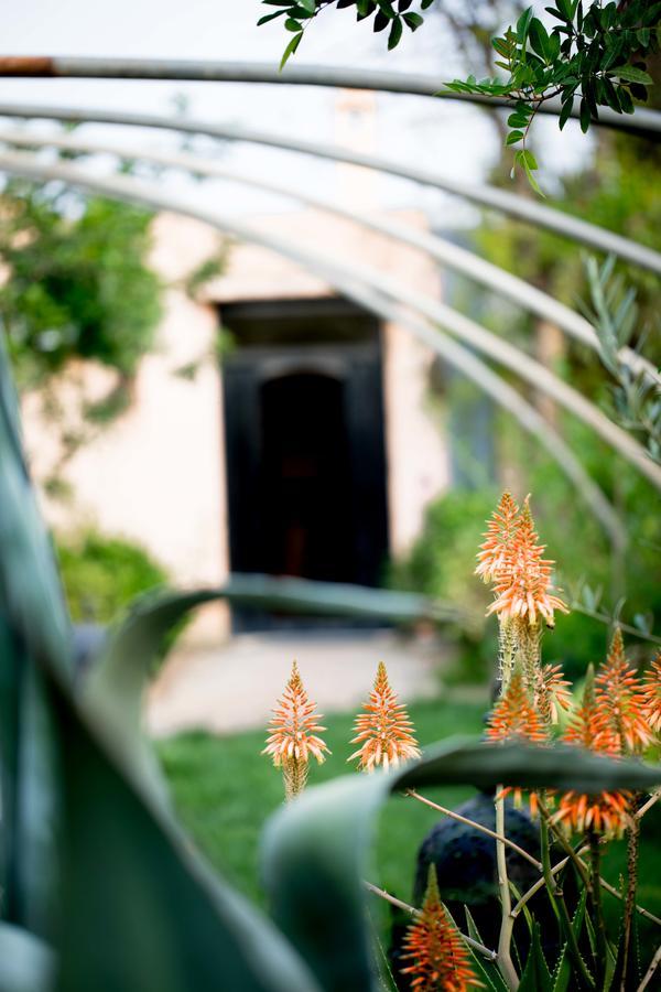 All Green House Marrakesh Luaran gambar