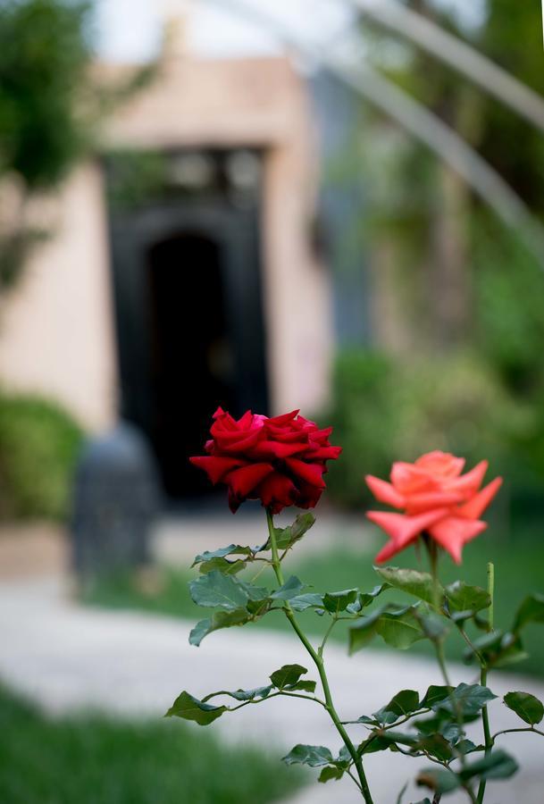 All Green House Marrakesh Luaran gambar