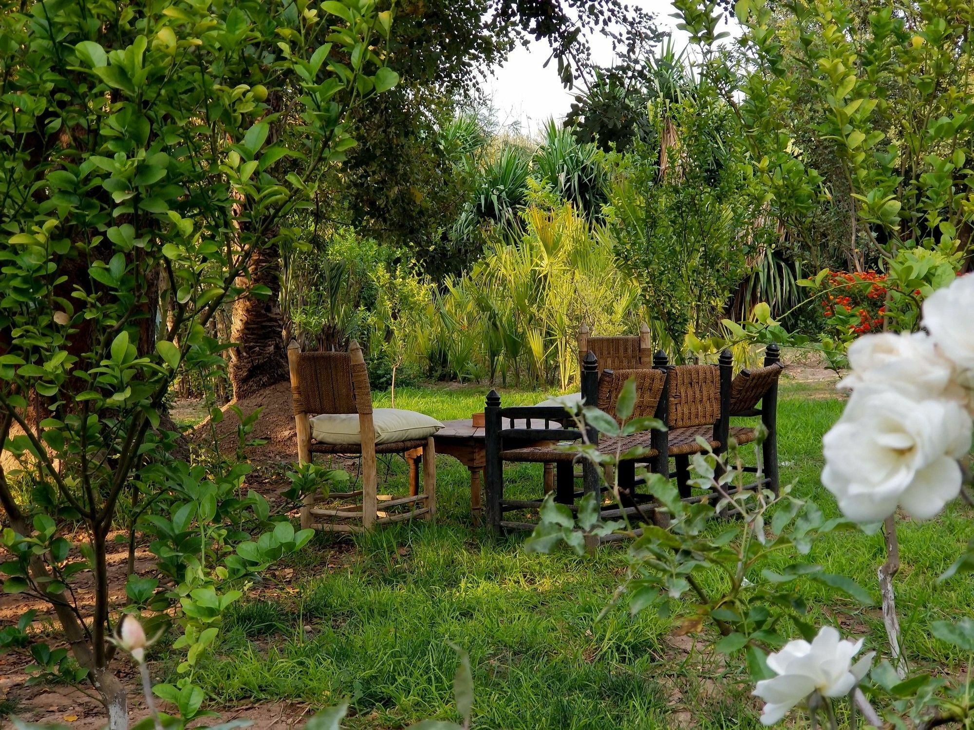 All Green House Marrakesh Luaran gambar