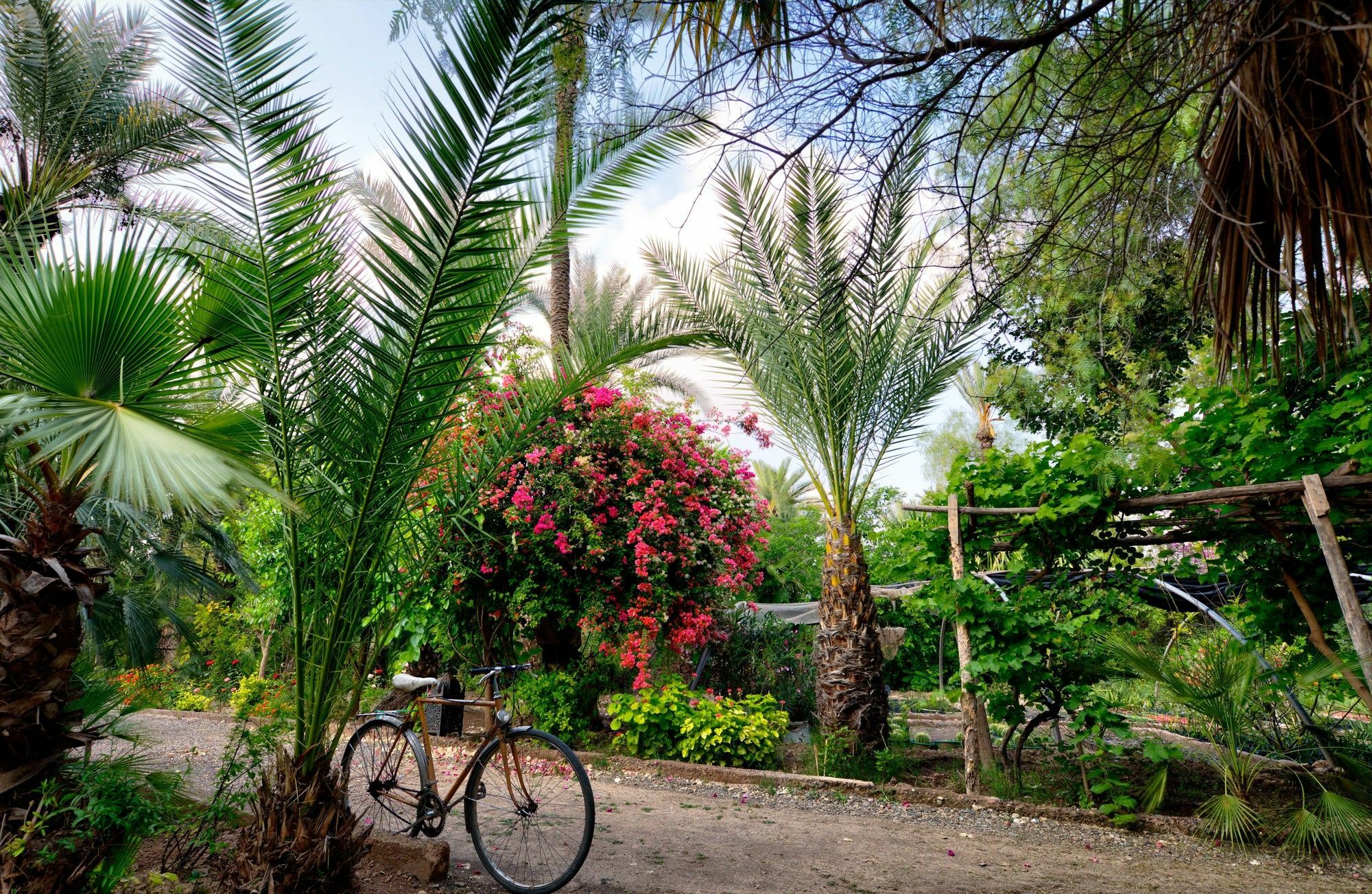 All Green House Marrakesh Luaran gambar