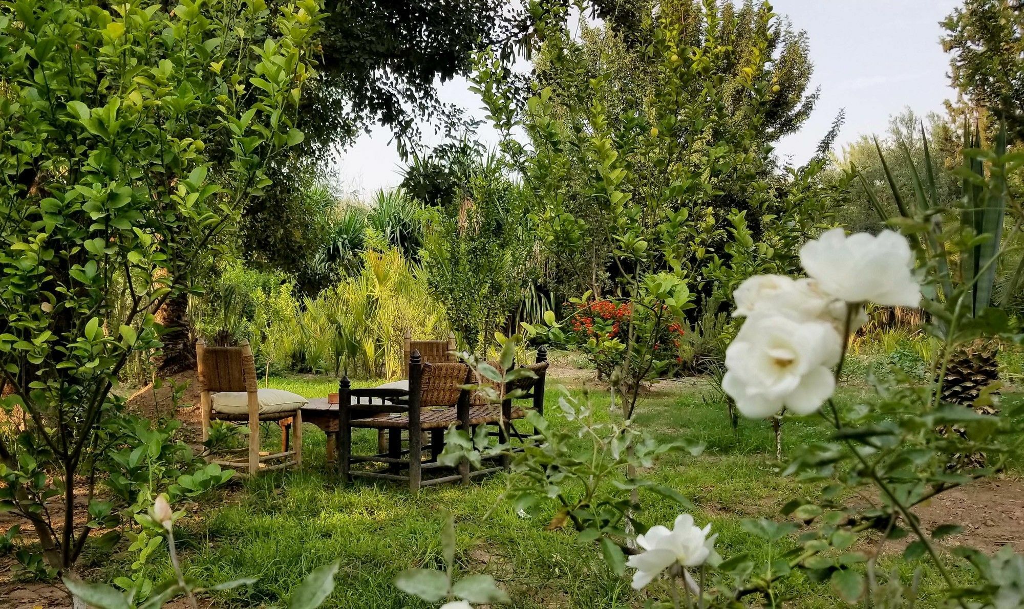 All Green House Marrakesh Luaran gambar