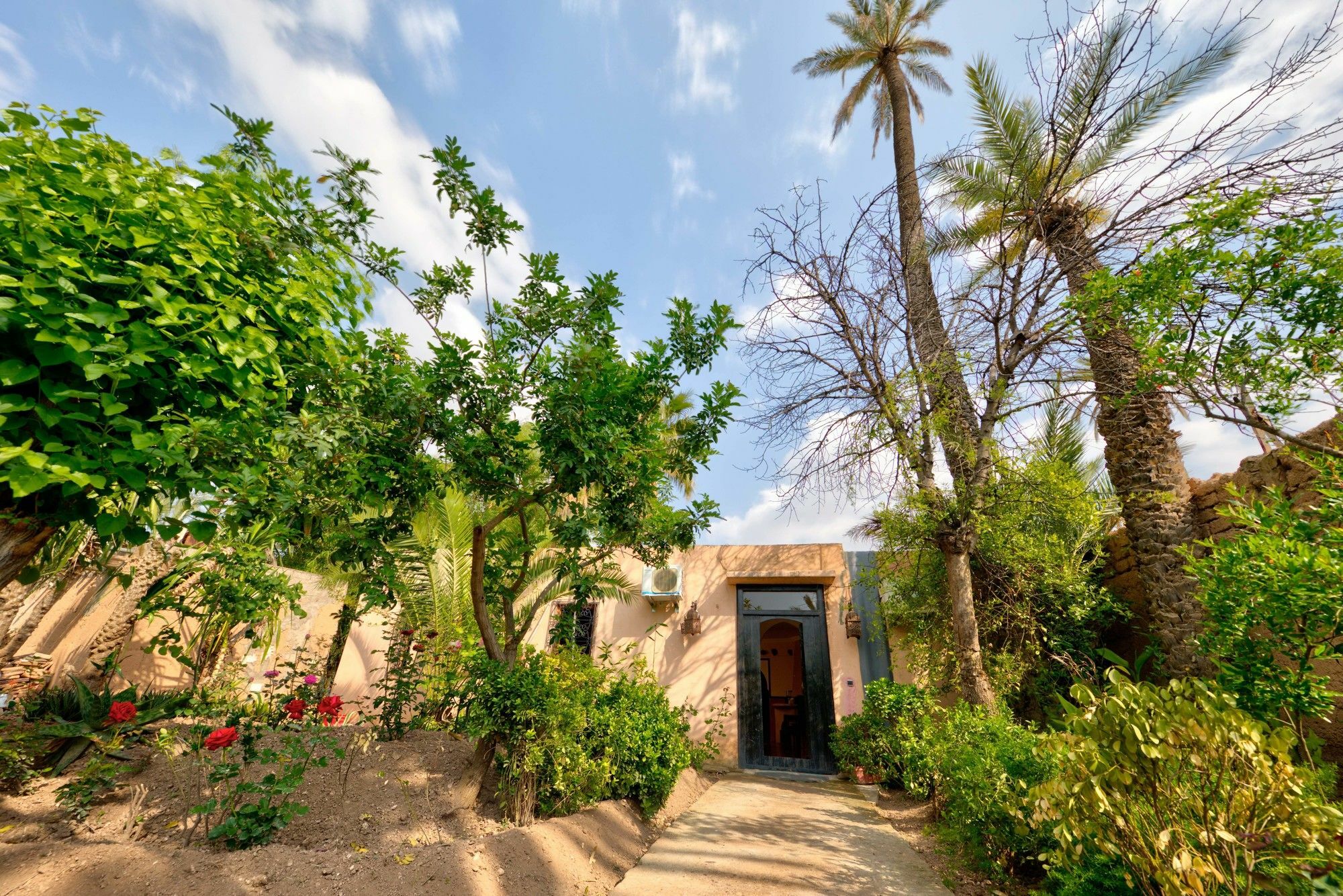 All Green House Marrakesh Luaran gambar